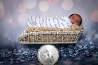 Bryson Newborn Photos